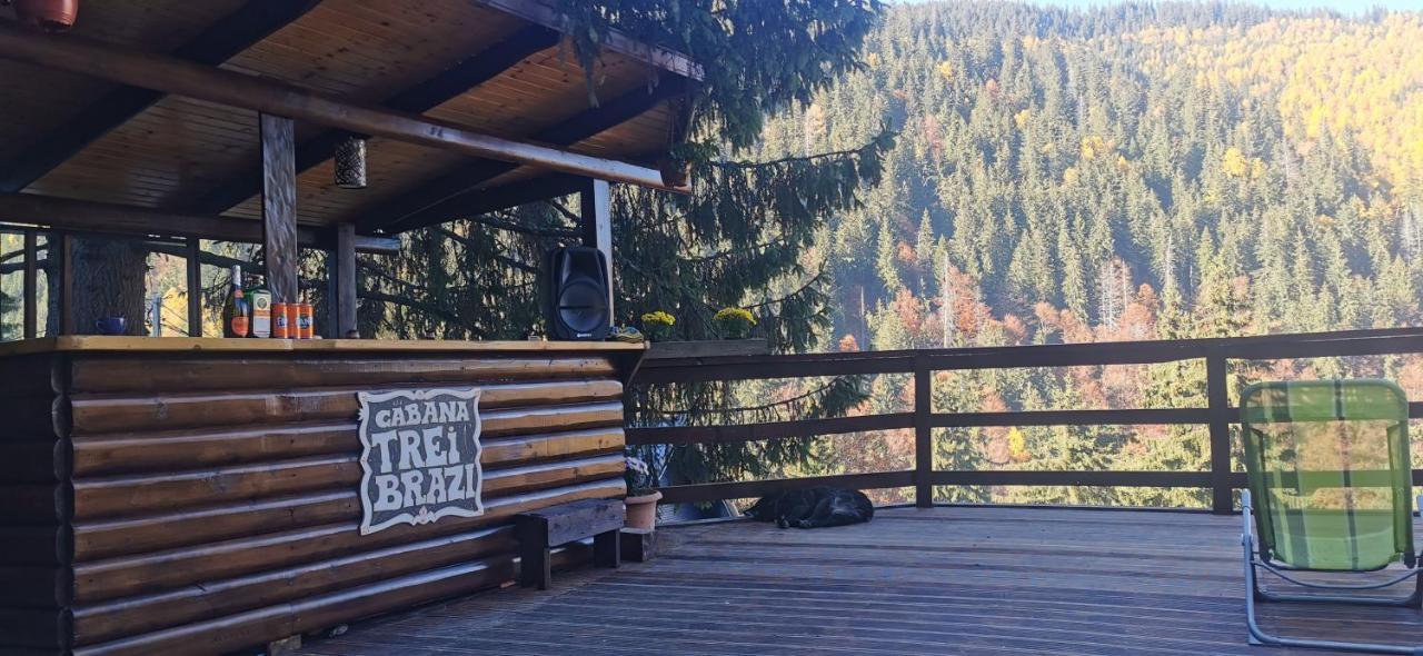 Cabana "Trei Brazi " Retezat Rîu de Mori المظهر الخارجي الصورة